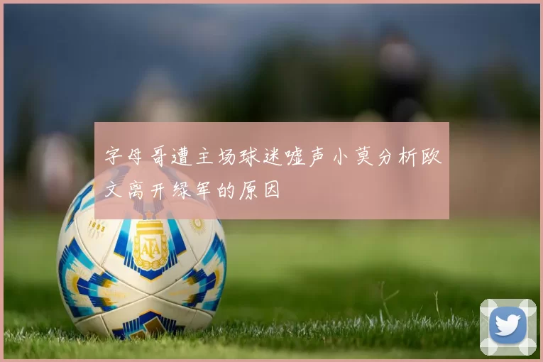 字母哥遭主场球迷嘘声小莫分析欧文离开绿军的原因
